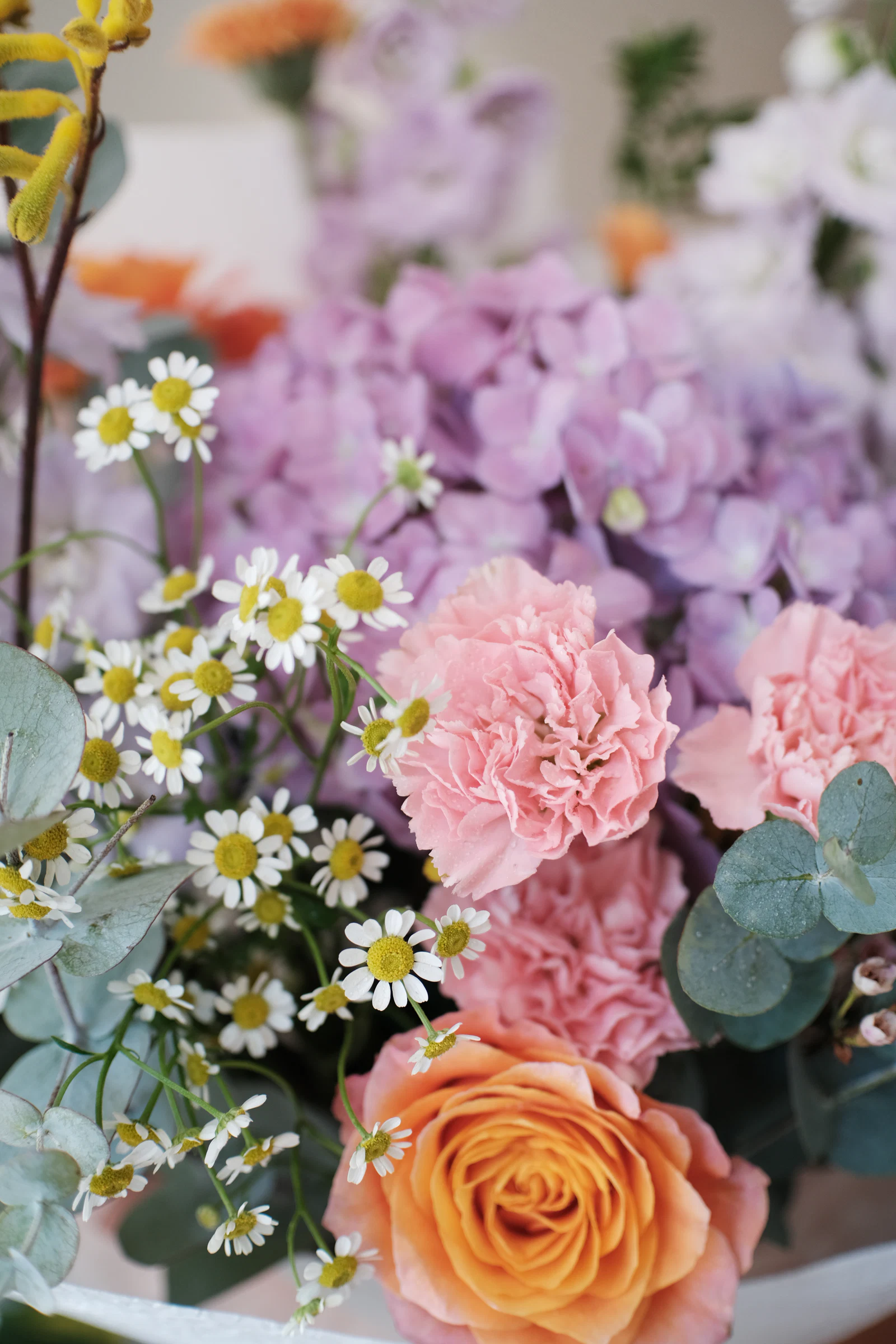 Soft Pastel Melody