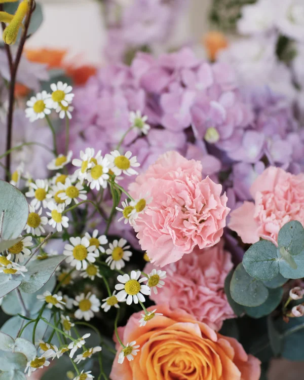 Soft Pastel Melody