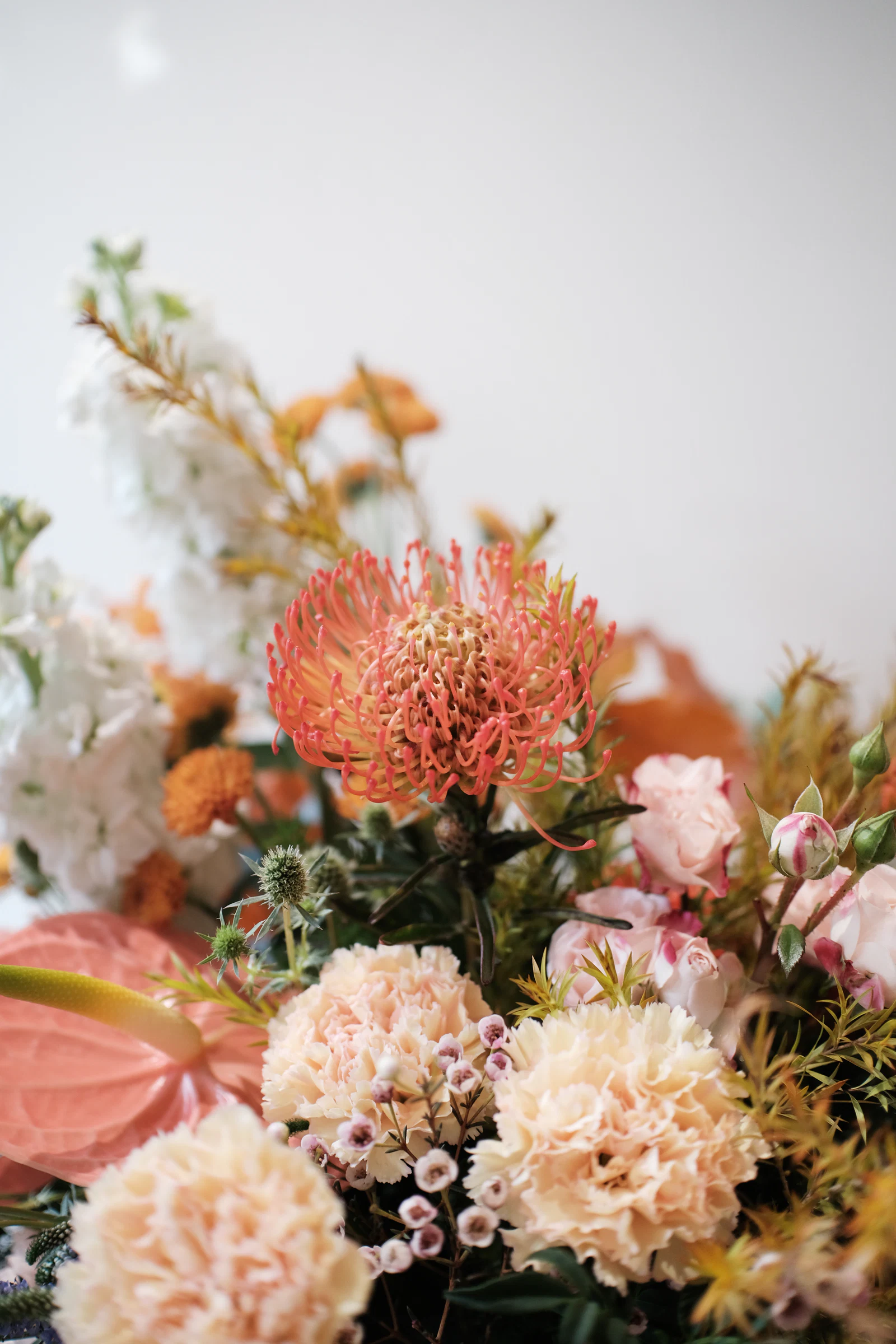 Autumn Lantern Bloom