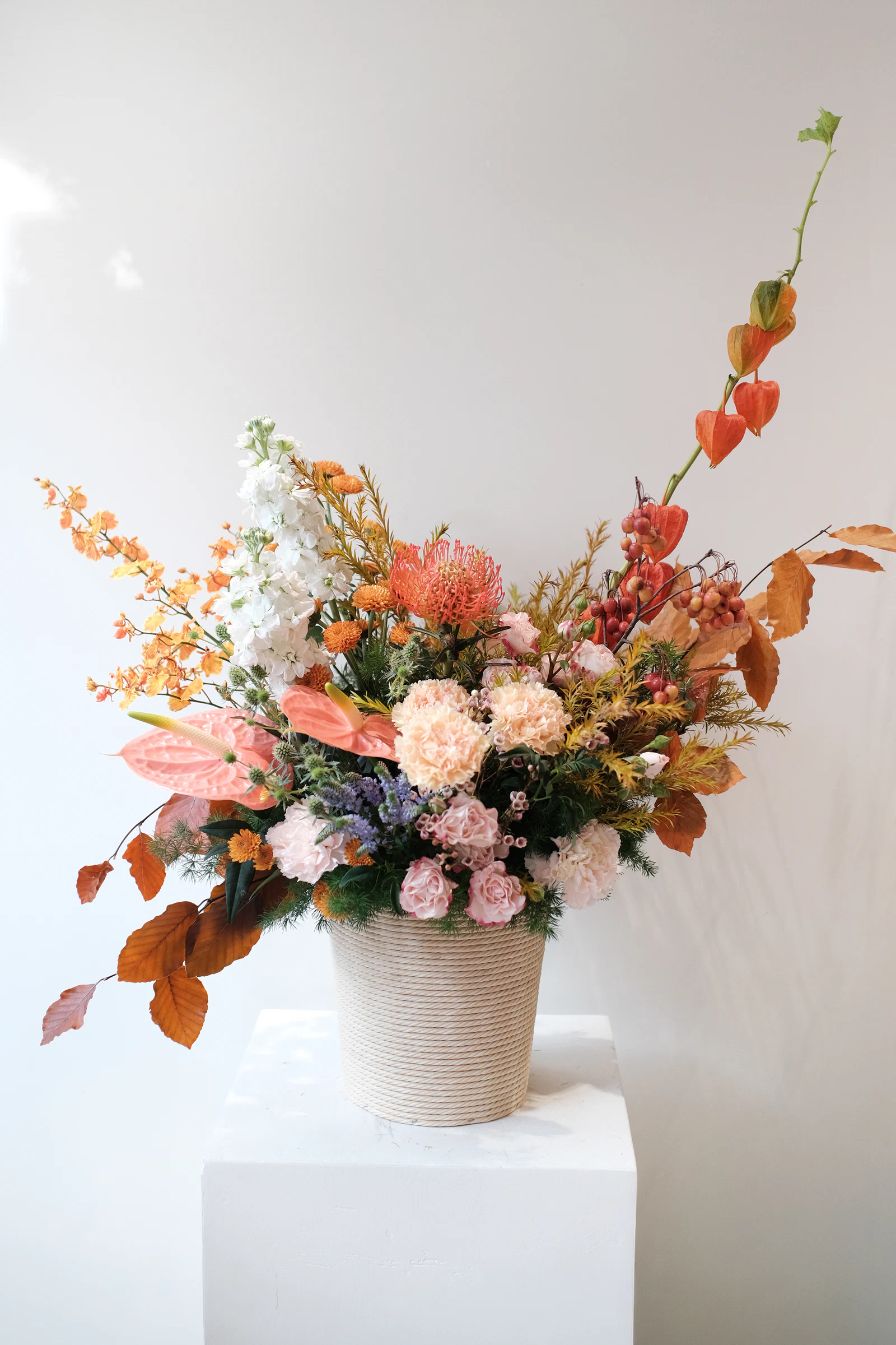 Autumn Lantern Bloom