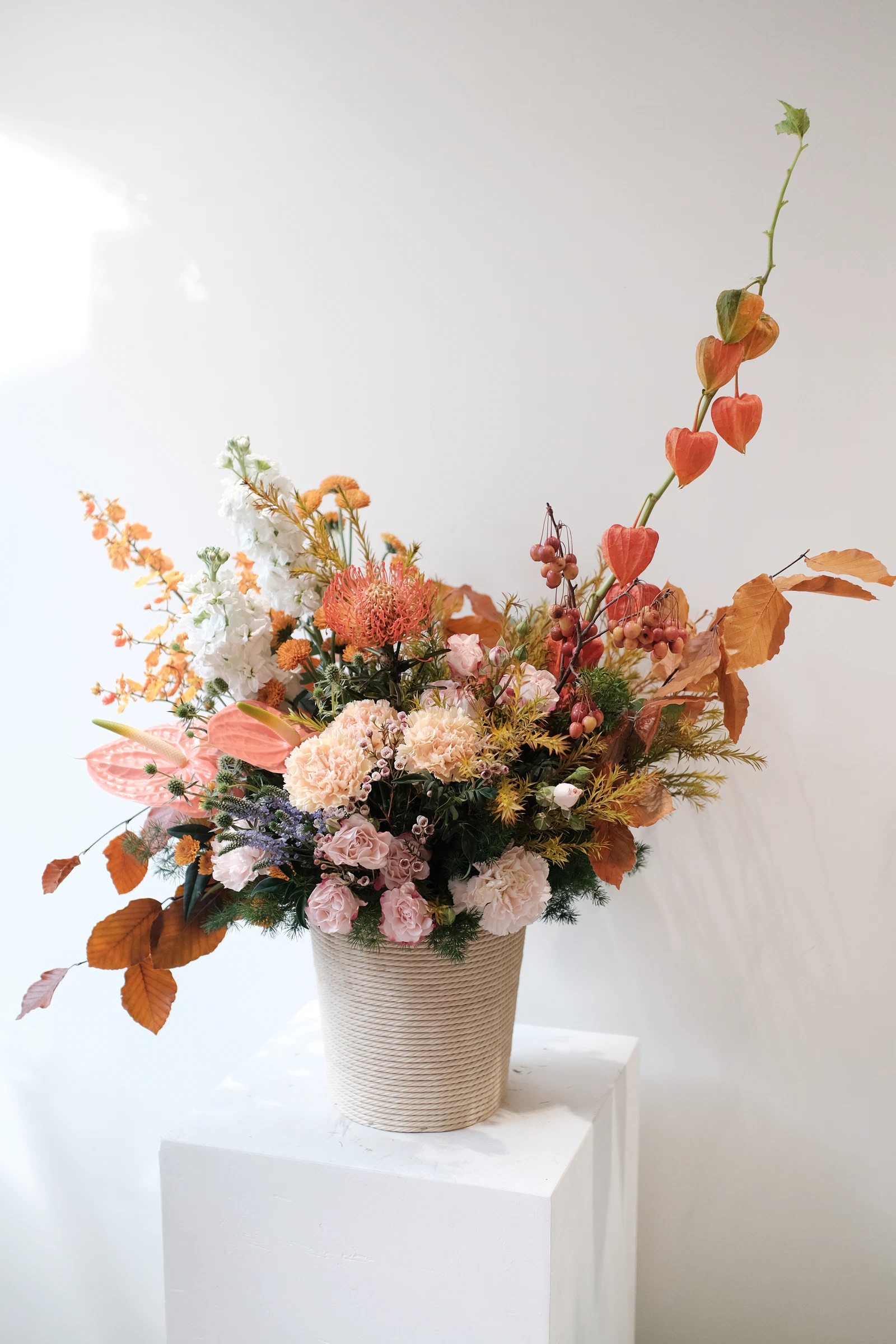Autumn Lantern Bloom
