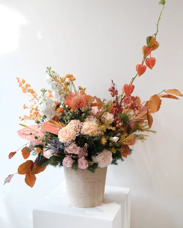 Autumn Lantern Bloom