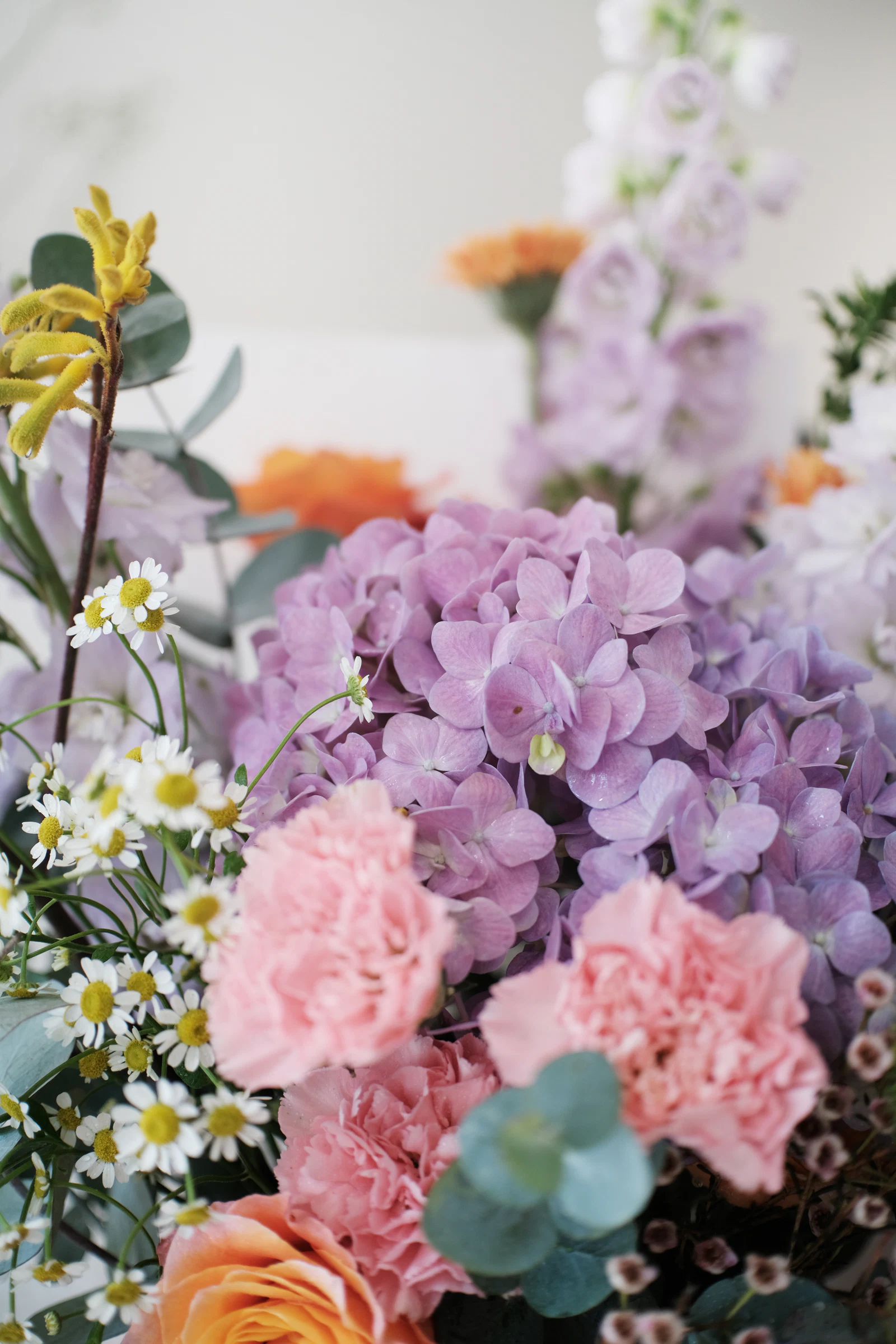 Soft Pastel Melody